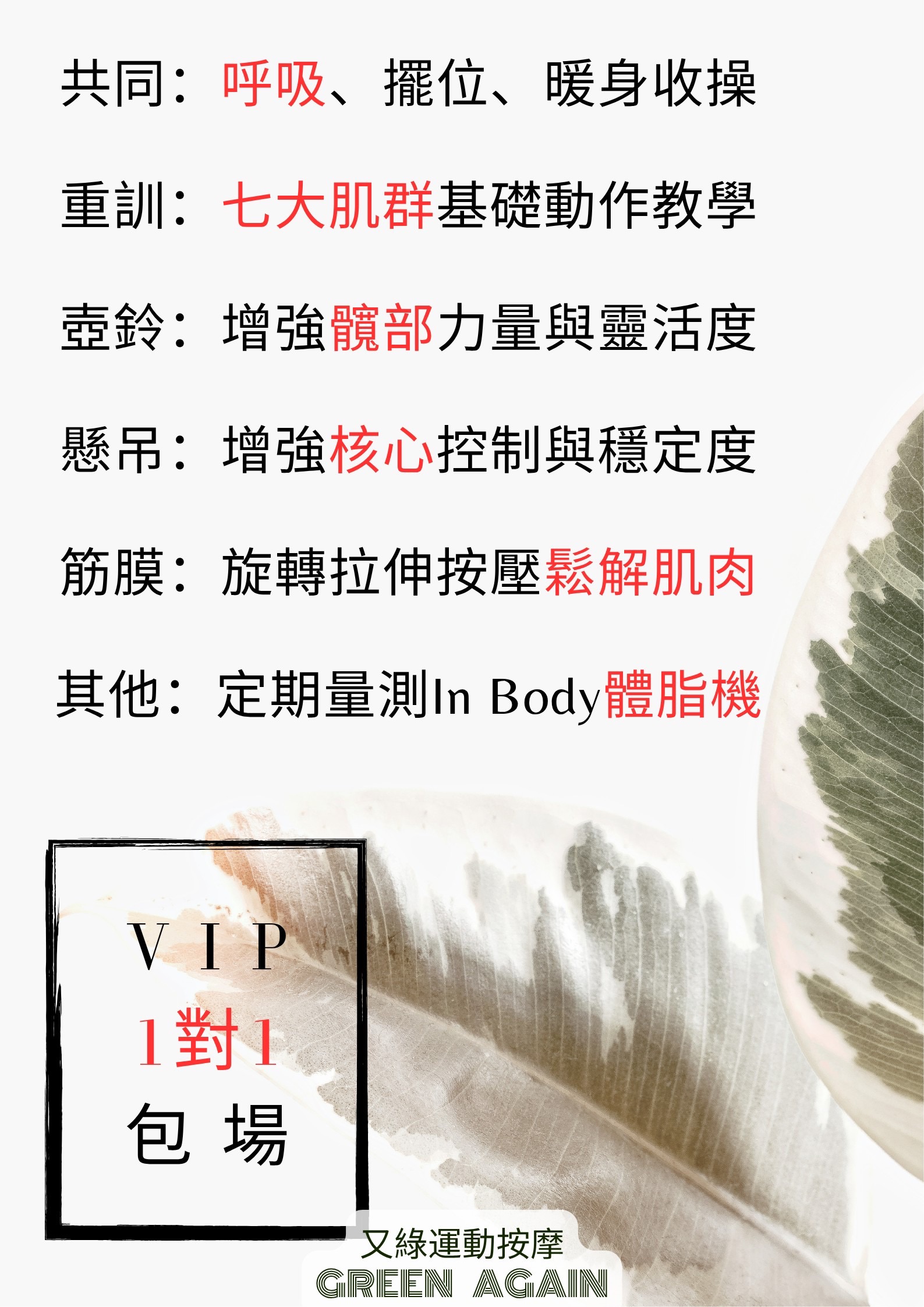 運動抗老服務重點：重訓、壺鈴、懸吊、筋膜與 VIP 一對一包場